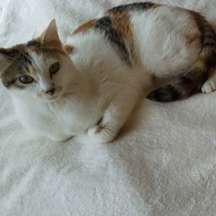 737fd617 b4be 4eaf b5d3 986a62f90788 1652831018513