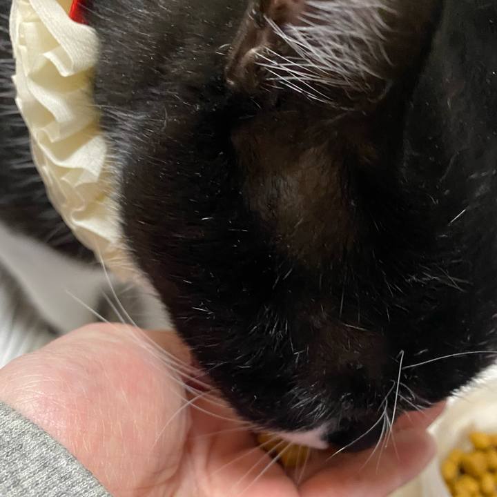 737fdd7b d835 4db5 9ffa bc40884cc17b 1737691134739