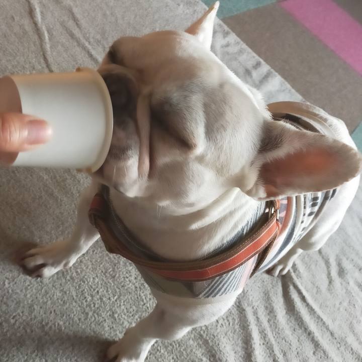 737fe263 8de8 47fa a193 eca148031921 1637275000384