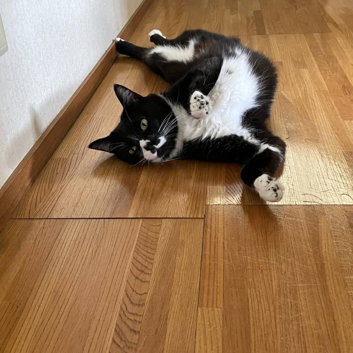 737fe735 4ca3 4f88 aa72 cda8c72969d9 1696478364218