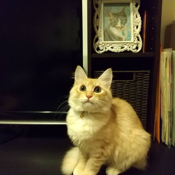 738012a6 aba0 4357 ae26 ed822db6916a 1611179052025