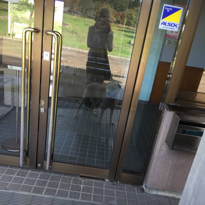 7380202c 52ee 4761 86f3 d9f7c2ddecac 1539047642368