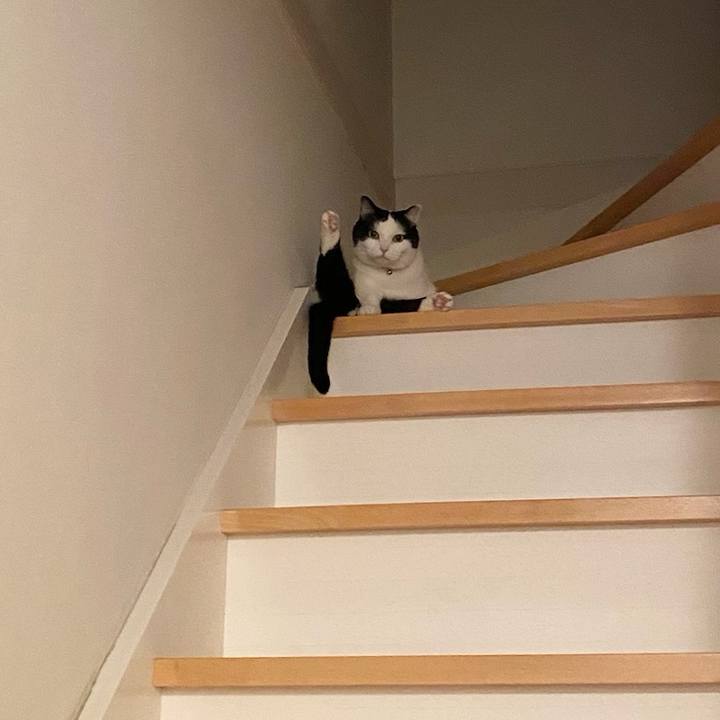 738032c3 1504 4567 9cf5 b68d00c2f162 1769468955268