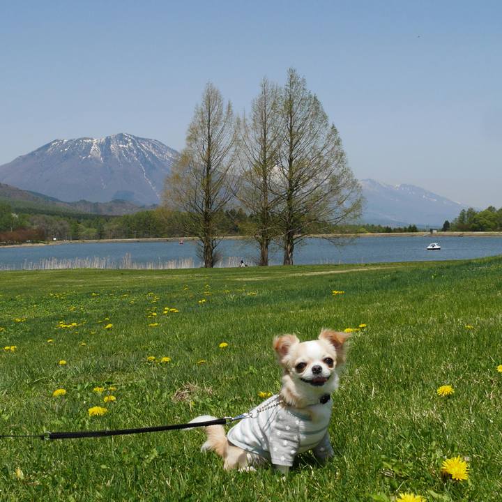 7380552c 053b 44cb ab66 4448ebc7bd44 1525309826425