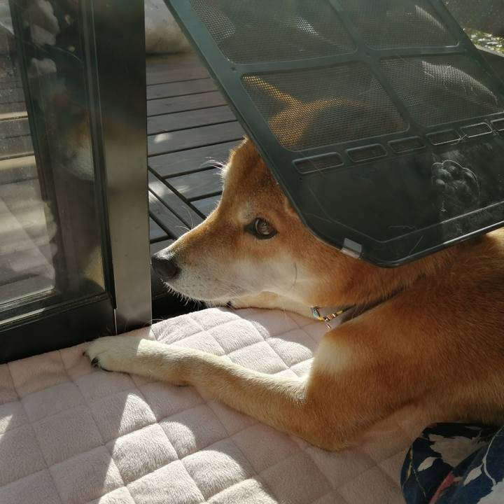 73806afd 8759 4aff 83e0 040905b2e206 1606712130637