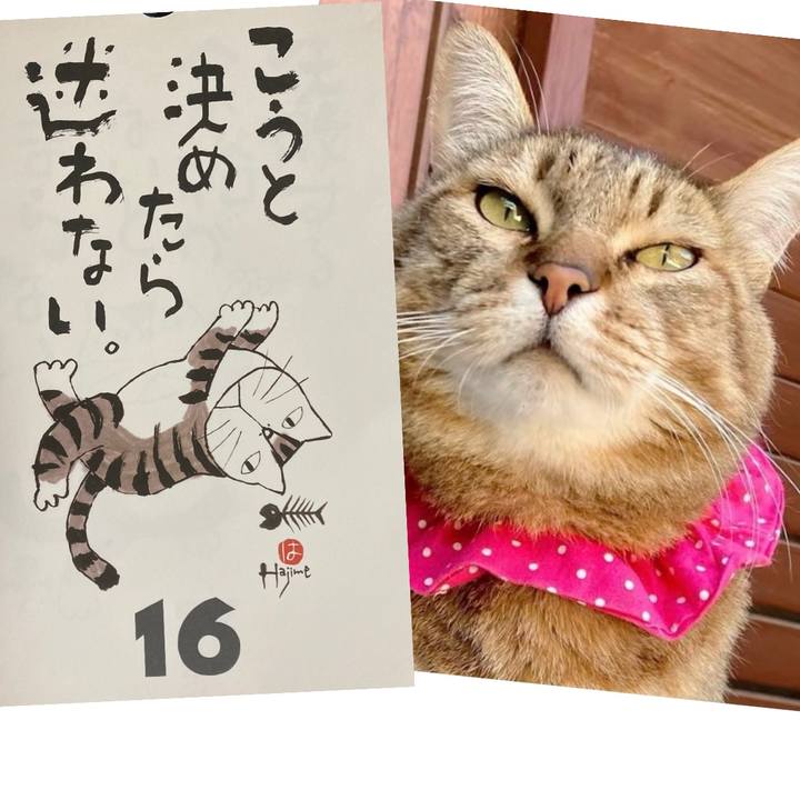 73807ed6 2f6f 4992 8362 c10962dc1b33 1768524421455