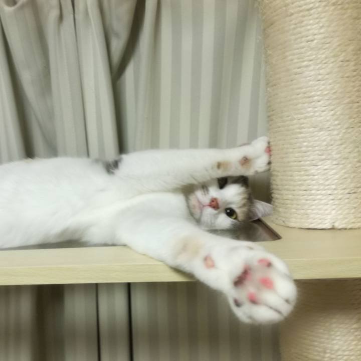 738093b5 05b6 4a4c ad69 c2843a8cf63a 1542884828959