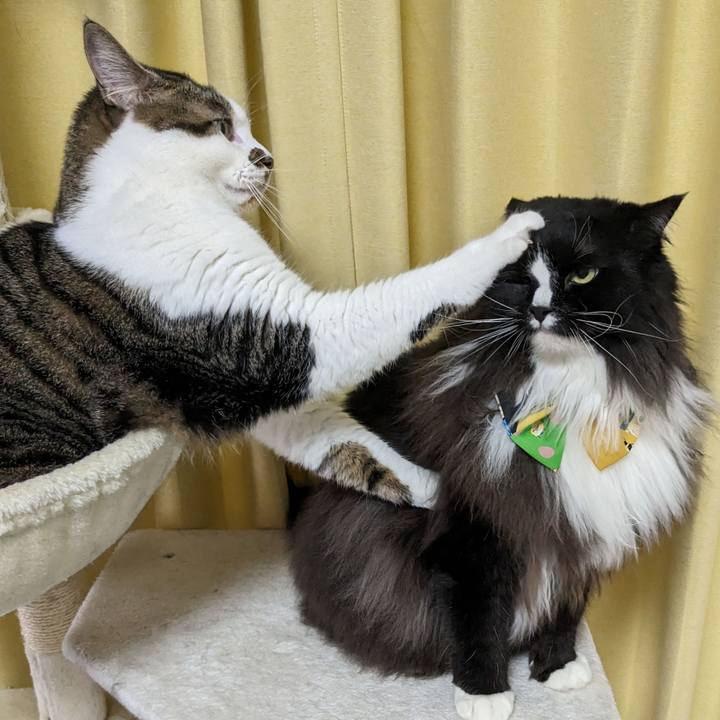 7380b8ee 8b1d 425f af54 a48b6cd913e4 1693699082236