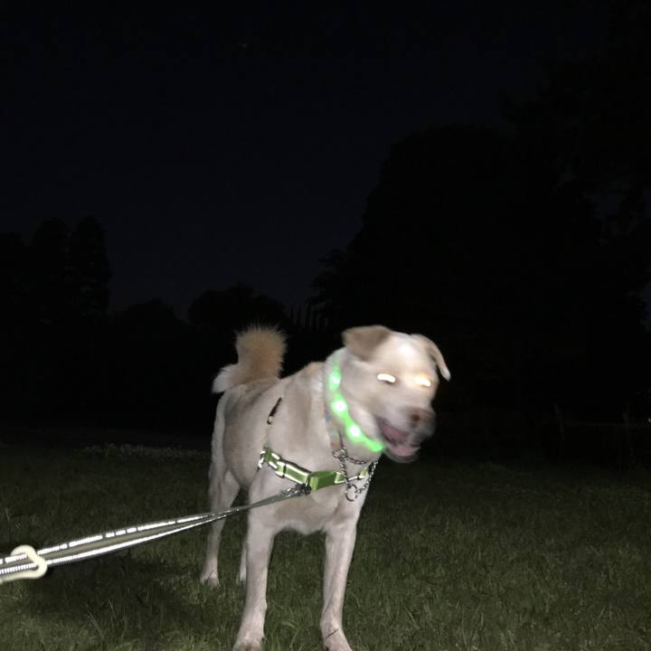 7380dd97 b1c8 4a1b 9c2c 44732687a5c4 1524220272867