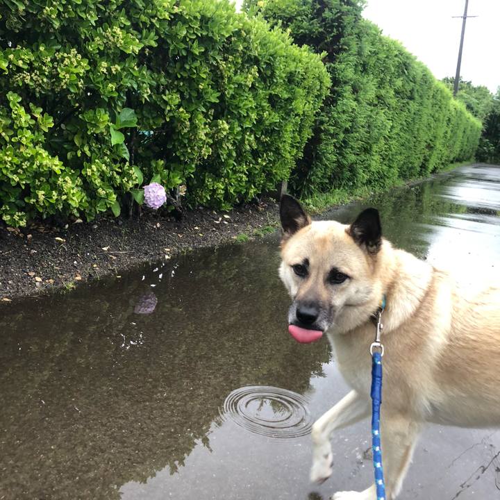 7380ee05 06b7 4569 8233 da1275f01083 1593178545617