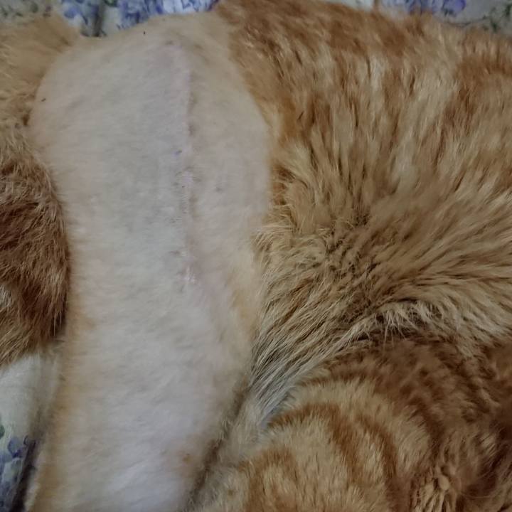 73812d45 8bc7 490c b36d 40586b71def1 1654778209018