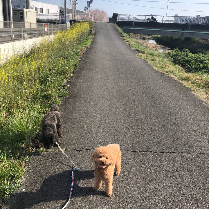 73813c97 d23d 4f2f a440 a9eae90b6f98 1616823350507