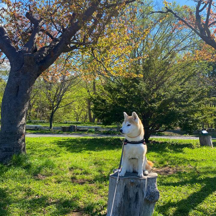 738143c1 d4a4 4786 91fb cf79fab1a43c 1714530556611