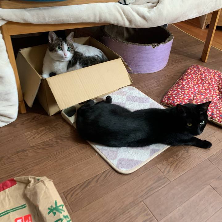 738181f9 d796 4696 9228 8691e4d7a6ee 1637637814713