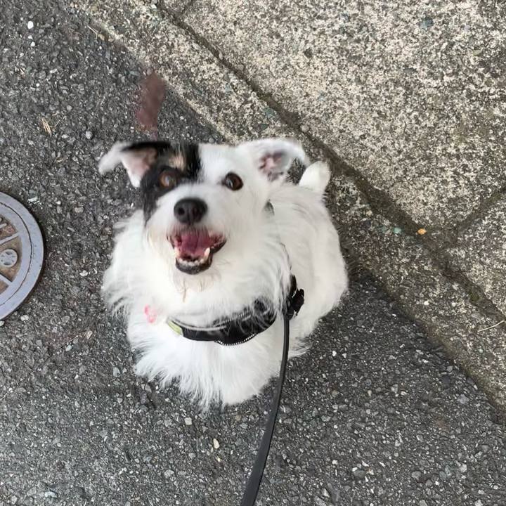 7381a121 676c 4661 973d 143981e4a664 1693177348578