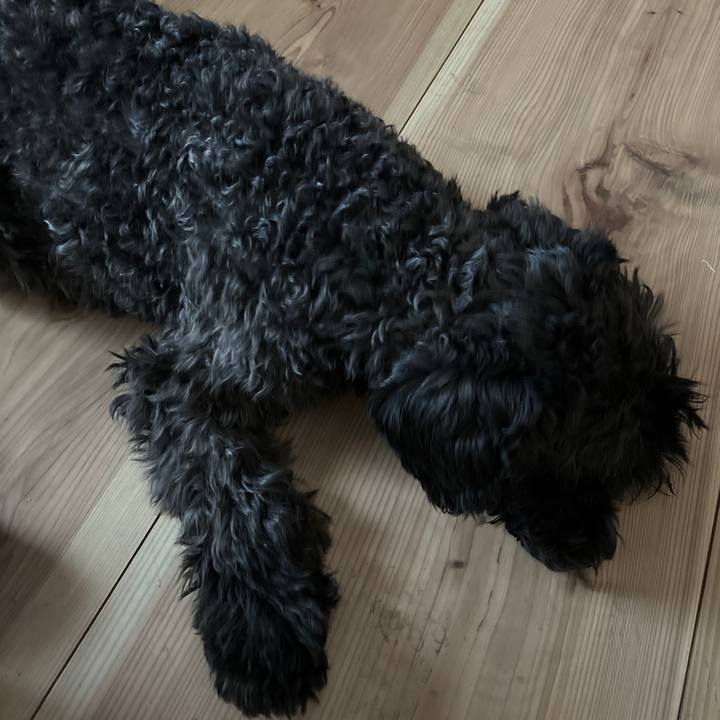 7381a3b6 f5ea 4cea afec a309f354504b 1706927915199