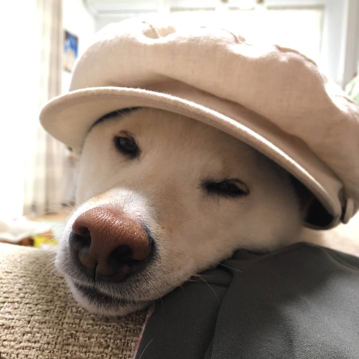 7381c95c 7cc9 4d07 9d64 d74ce0aa58b1 1526684421742