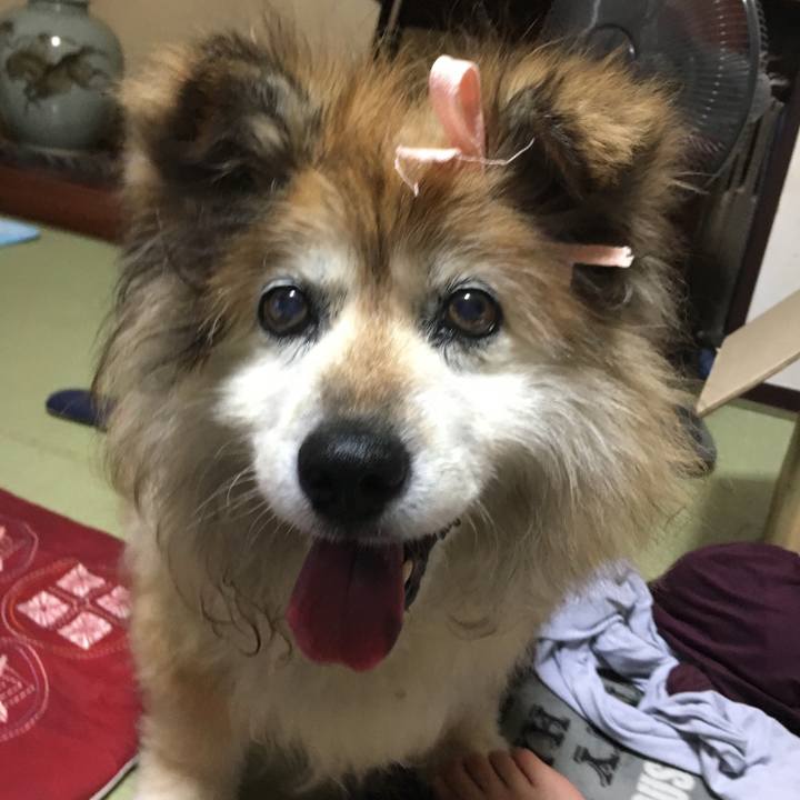 7381fc34 28b4 4192 9664 fe5966725822 1574137284462