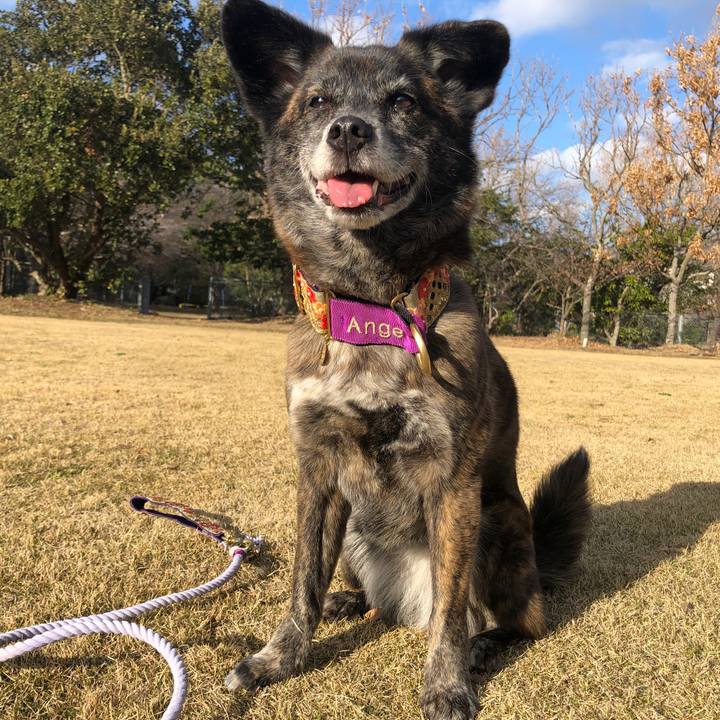 738201f0 58f4 45db b6d5 1d06a0824de0 1614249889620