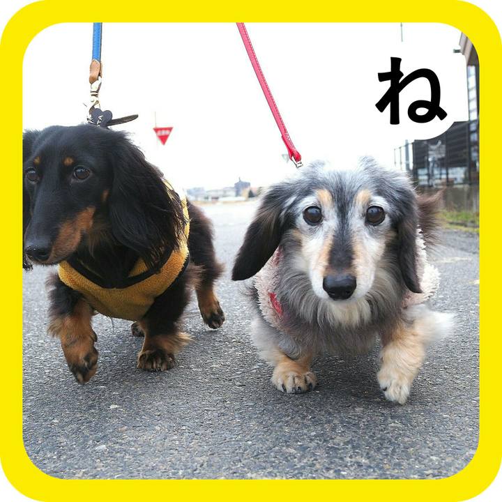 738219ef 0e72 469d 9c54 2f7f3c22823c 1514808175555