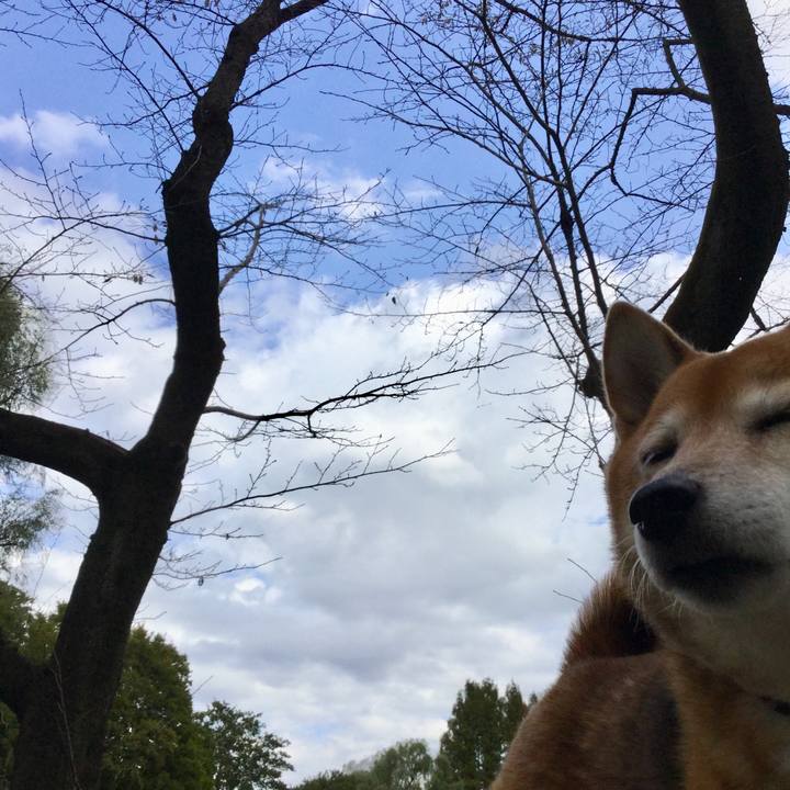 73822ab1 a609 4c18 ac9d 1deb3ad072e1 1604036911913