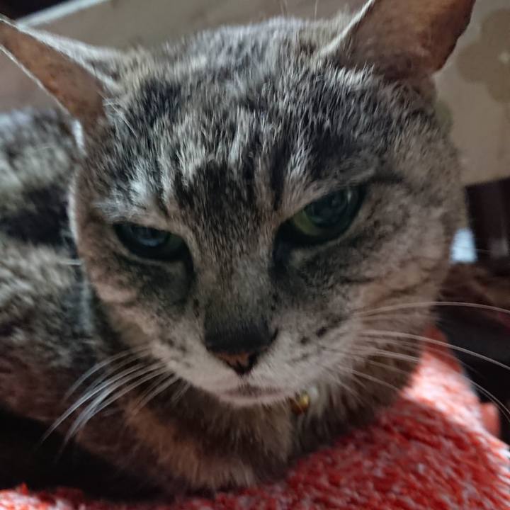 738230ab c8c7 4c36 950f 746f95412056 1563997727313