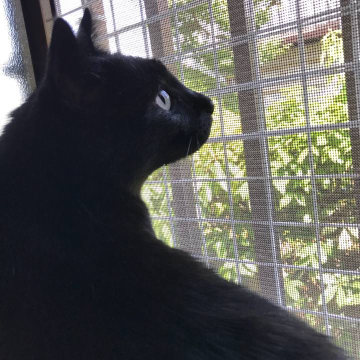 73823154 3d9a 4d04 b5ab 9e5a6d5b5f9c 1527384066994