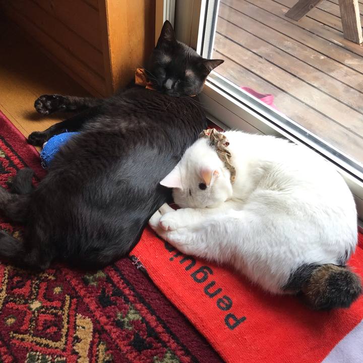 7382a37e 75ea 42b3 ae35 84a079cd9a78 1629092524800