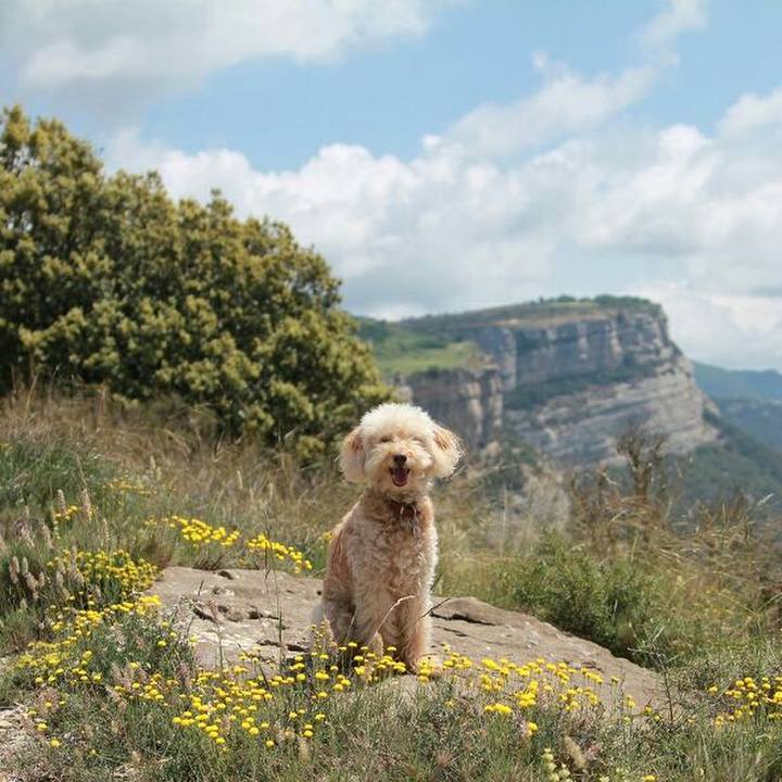 7382b306 5f56 4bae 8268 0cb6a50e952b 1560959908987