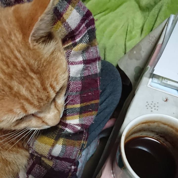 7382b95f 1e39 4691 9054 58e17e4ed120 1586552046378