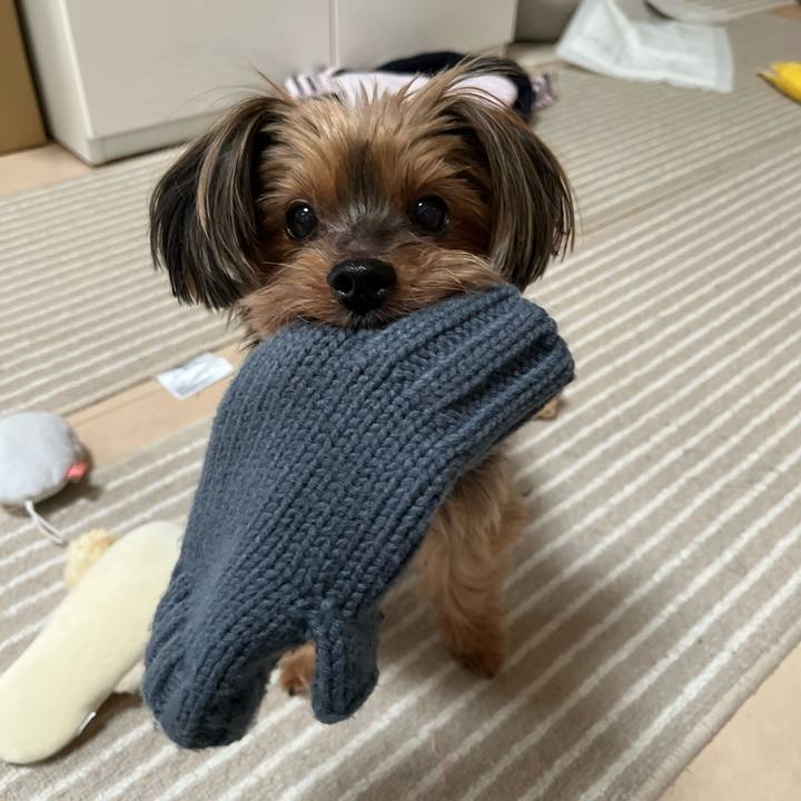 7382cd2c 79d9 4d23 82cc c6c9a0bab909 1645391737904