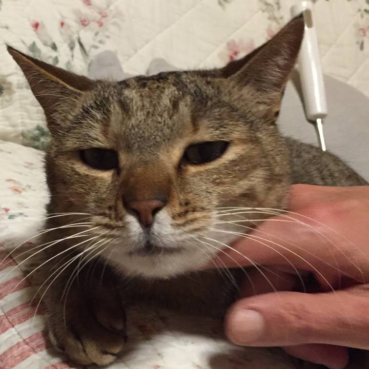 7382d139 48fb 4472 ace3 058941eb3ff1 1515411549340