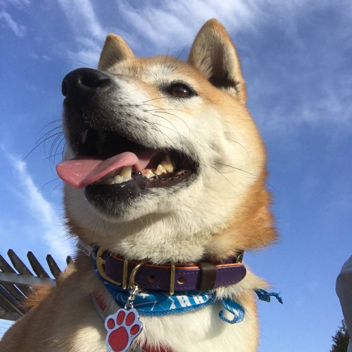 7382d24f 3b49 4af0 a814 fc53de9fc4c3 1573993692647