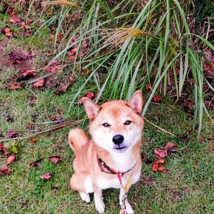 73832aef 9320 432d af3d aafbb77bbc99 1600818513023