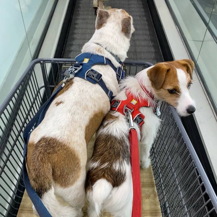 73834247 8df1 4d57 95a5 99c50aabc242 1650187203762