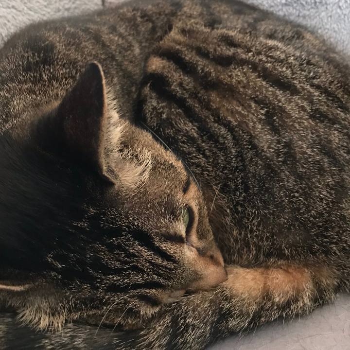 7383752b d044 43aa a801 90c93e3445a7 1512173362622