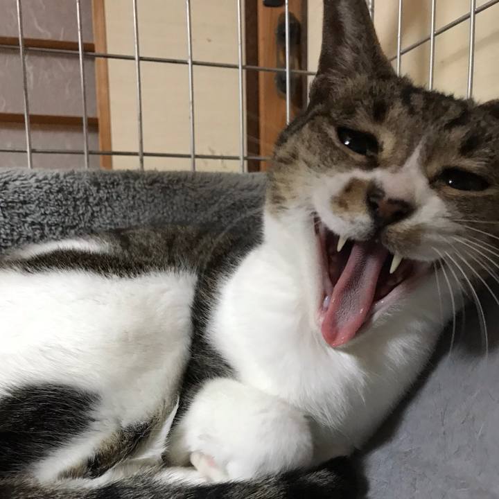 73837eb1 c6b3 42d4 9b5a 53580f945edd 1512696705684