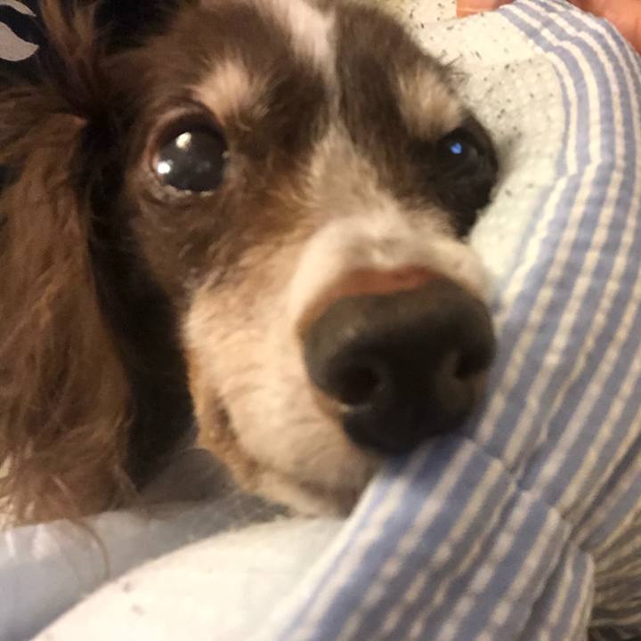 73838489 2db7 4039 b569 0a15671cadbb 1628942226023