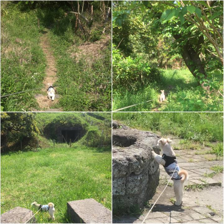 7383a576 4b77 4122 b2f5 e1e3d331ad43 1556972847854