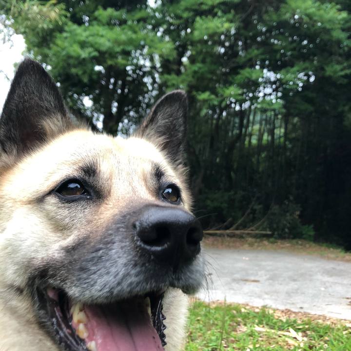 73845b3a 14ff 4c87 b4f6 fd8b1276af49 1561549415375