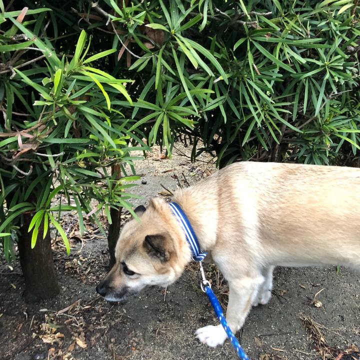 73846295 4ad2 4370 8b64 53c2fc3bed34 1556113206273