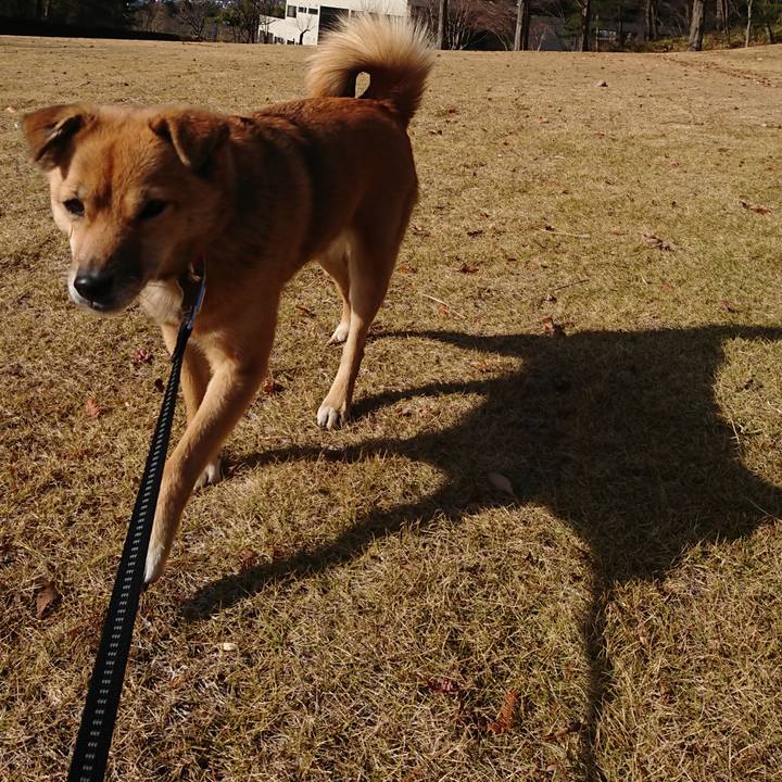 7384c3cd 76d7 496d 8dc9 45f88b6d79e8 1607242447528