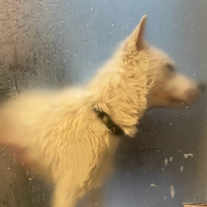 7384d11f 47ea 440d 9094 3acf91d80521 1764474930094