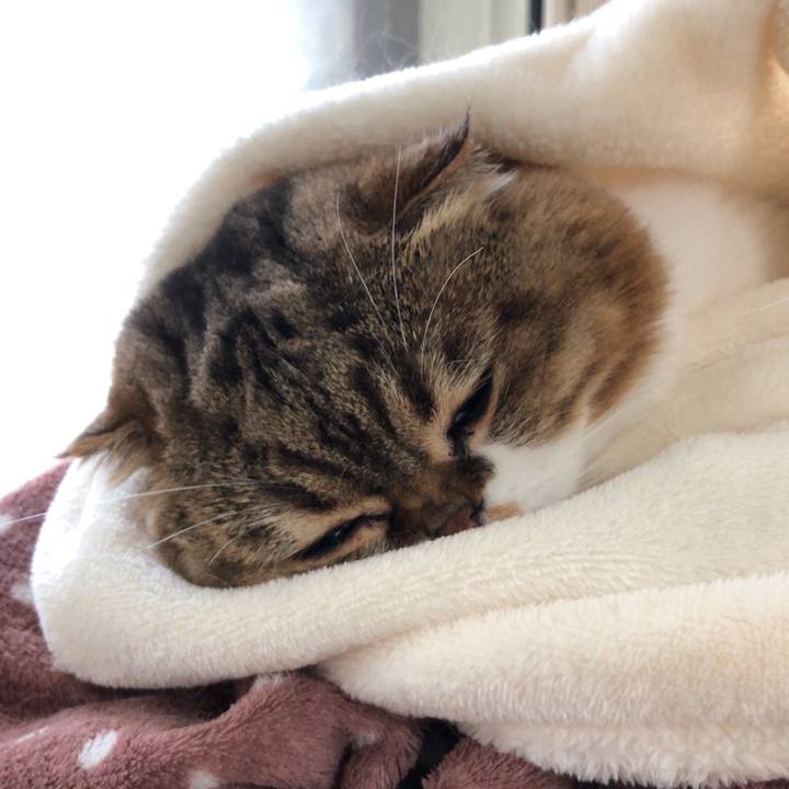 7384daa4 1be5 4567 a900 ca2d39d1c78f 1538017211078