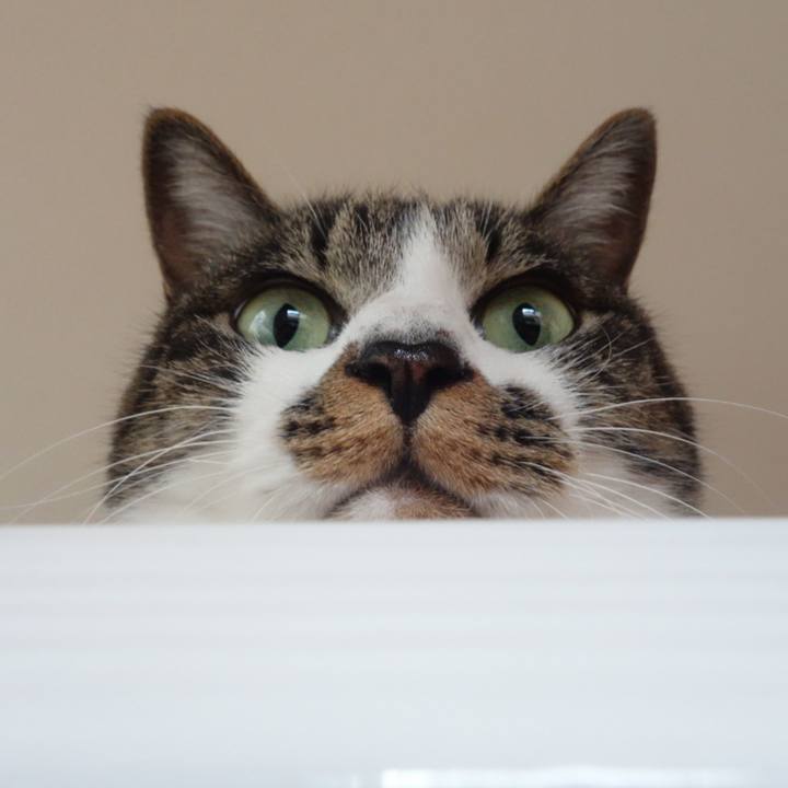 7384e8f0 03d7 4ccc bfb3 03ec71918a09 1762145781007