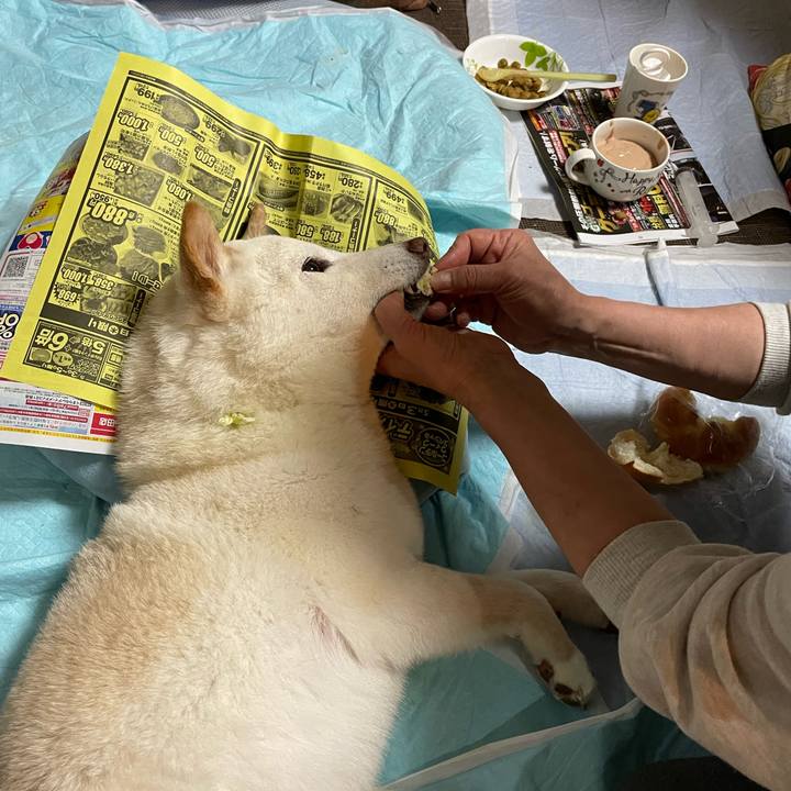 7384ea5c 820c 4858 90aa 625487699000 1651586239249