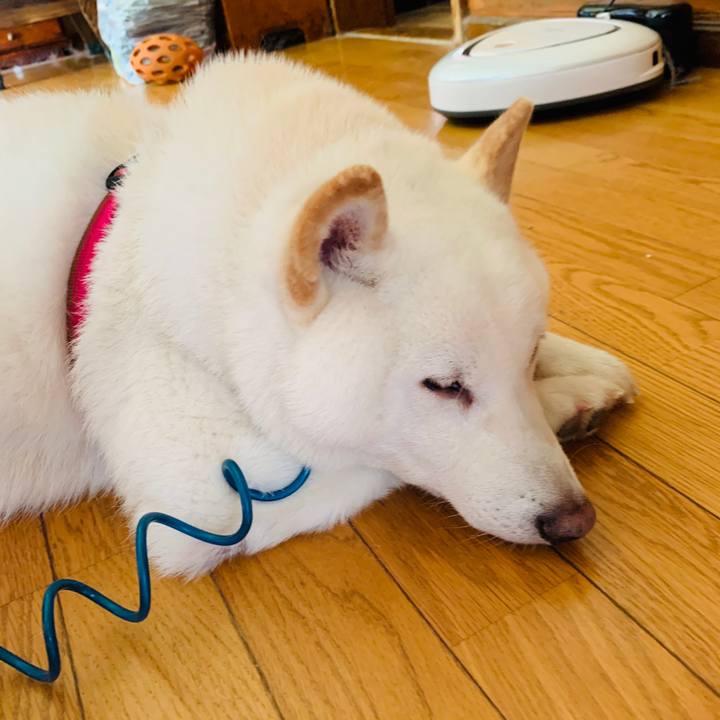 7385066f 06a6 431d 8a98 cba93004d682 1599167454471