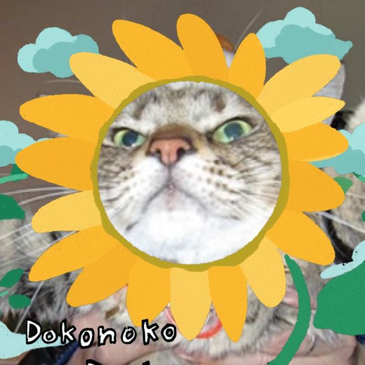 73855cf0 9634 40c5 ad47 c9d6d53dd6ab 1723174452789