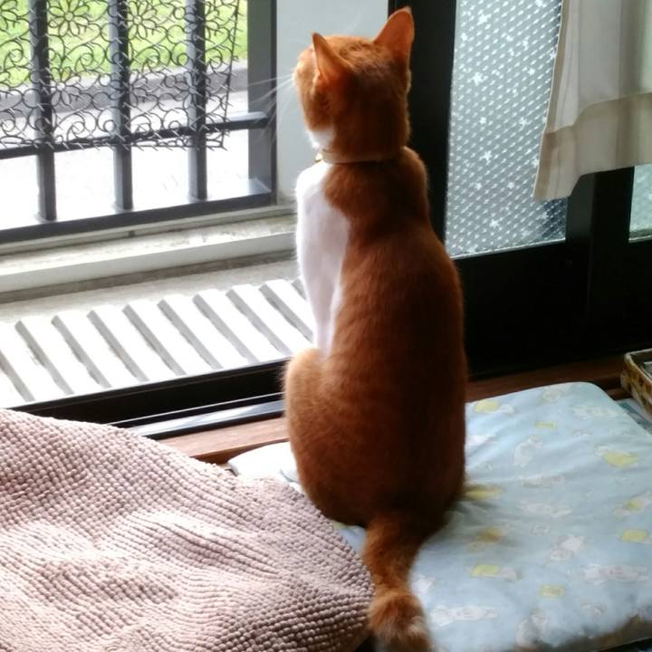 73857030 97c4 4c53 835c 899bd7b538b0 1572582187516