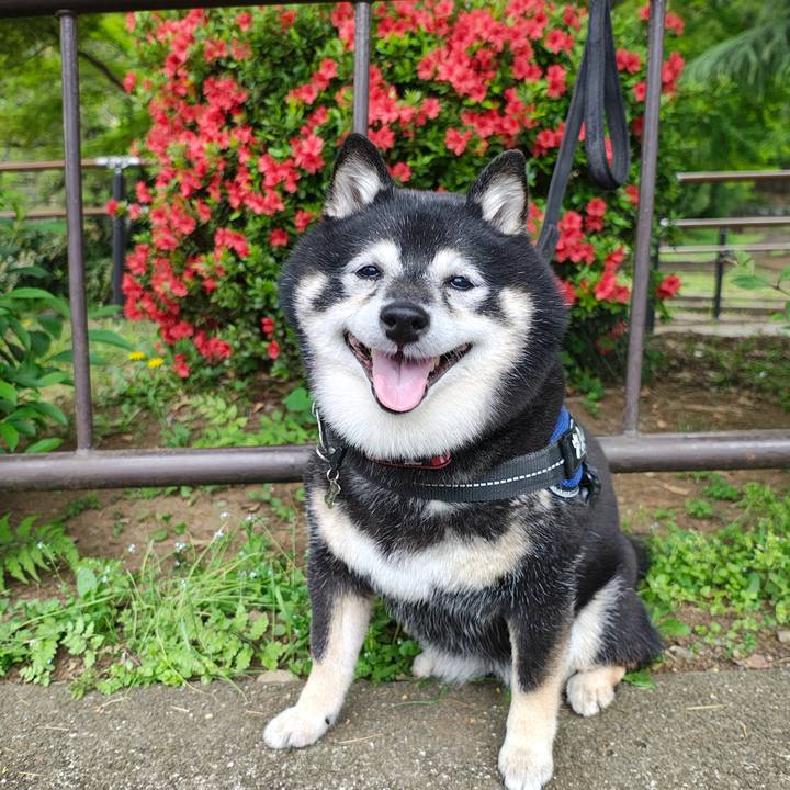 73859a9c 7830 4c02 91ae e5dd6eea1df1 1776244261695